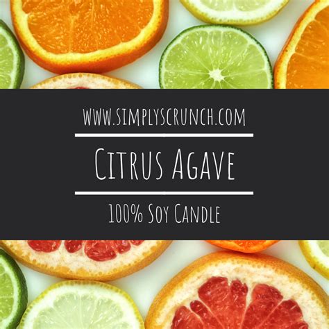 Citrus Agave — Simply Scrunch Co