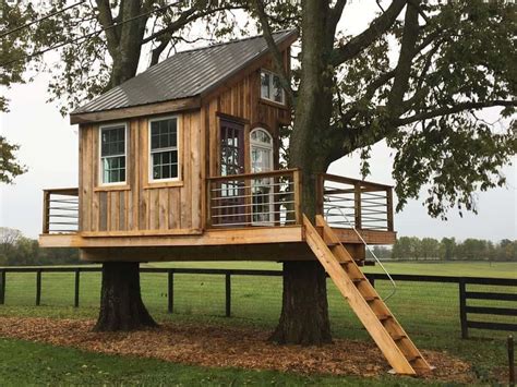 Treehouses That Are Easy To Build But Is Large Mcleod Bacen1961