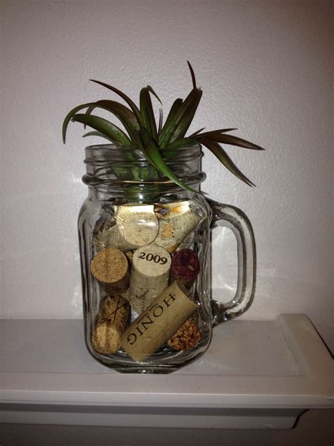 These aeriums, terrariums and aquariums use natural materials such as sand, preserved moss, lichen and pebbles to express unique habitats. Mason jar air plant | Mason jars, Mason jar mug, Plants