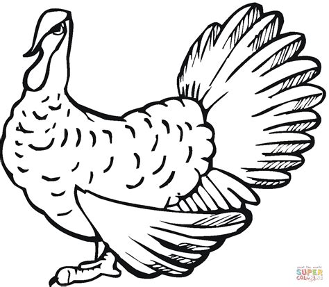 Check the quantity, it's ebook, so you want only one file. Wild Turkey Coloring Page - Coloring Home