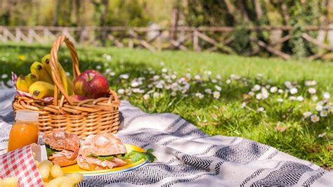 Tips For Having A Safe Picnic That Complies With Social Distancing In