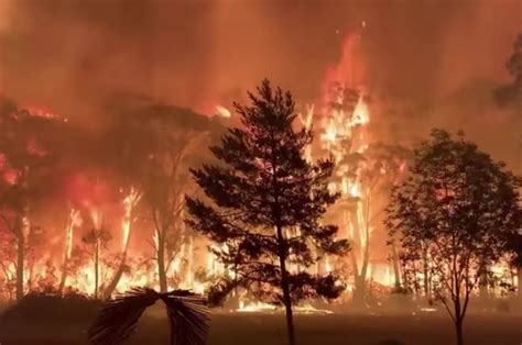 .alam sekitar, matlamat pendidikan alam sekitar dan objektif pendidikan alam sekitar. Contoh Teks Eksplanasi Tentang Kebakaran Hutan