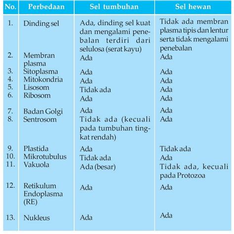 Maybe you would like to learn more about one of these? Bagian Sel Tumbuhan Yang Berfungsi Mengatur Seluruh ...