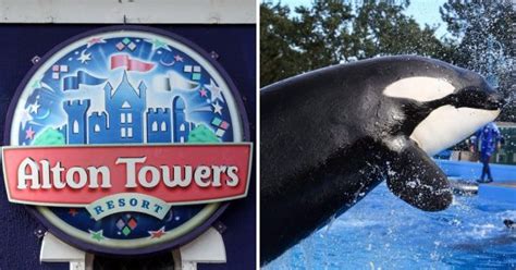 Alton Towers Owner Merlin Entertainments Could Buy Part Of Seaworld