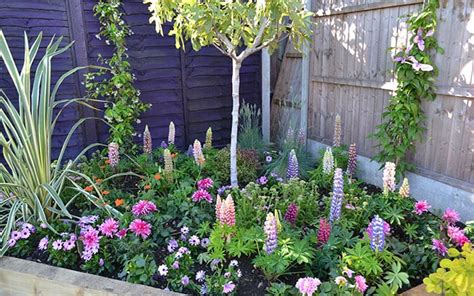 Check spelling or type a new query. Love Your Garden episode 5: How to get the colourful look