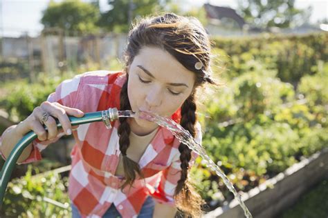 When it comes to watering your lawn many people will not have an in ground irrigation system to help with this process. Is It Safe to Drink Water From a Hose?