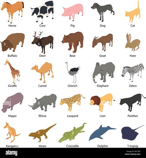 Iconos De Animales Con Nombre De La Firma Ilustración Isométrica De 25