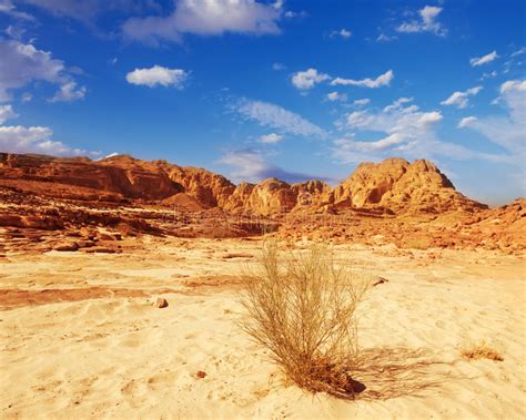 Sinai Desert Landscape Stock Photo Image Of Blue Empty 68752808