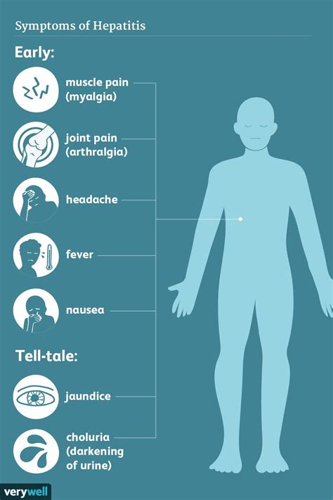 Anzeichen Und Symptome Von Hepatitis Medde