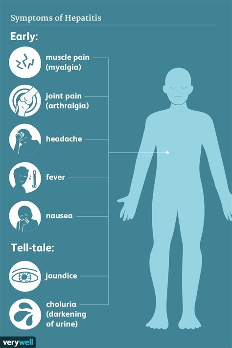 Signes Et Sympt Mes De L H Patite Fmedic