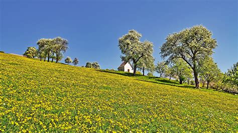 Bewegungsfreude im frühling | kraftausdauertraining ohne geräte. Wallpaper Frühling Online