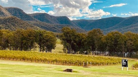 New South Wales Wine Region New South Wales Wine Wine Tourism