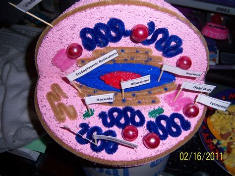 Homemade Cell Model Project Ideas Bing Images With