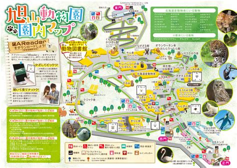 上野動物園は当面の間、臨時休園いたします / ueno zoo will remain closed for the time being. 人気の旭山動物園を訪ねる | 日本旅行