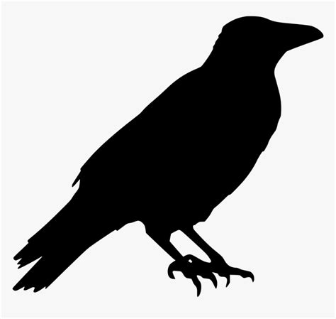 Crow Raven Animal Halloween Black Dark Bird Crow Vector
