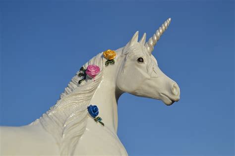 Free Photo Unicorn Horse Animal Creature Horn Equine Fantasy