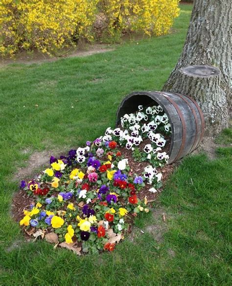 Planting Ideas Using Oak Whisky Barrels How To Use Barrels As Planters