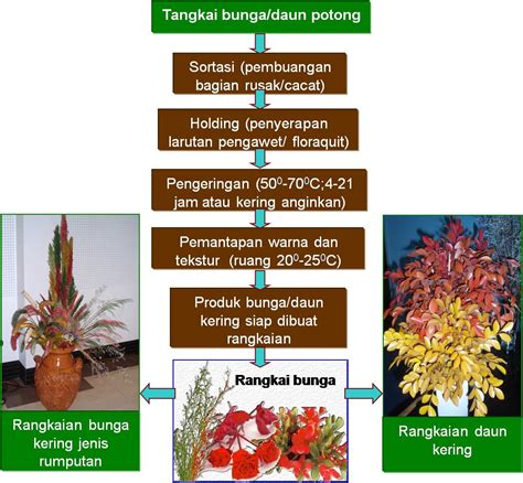 Check spelling or type a new query. Agroindustri Pengolahan Produk Bunga dan Daun Kering ...