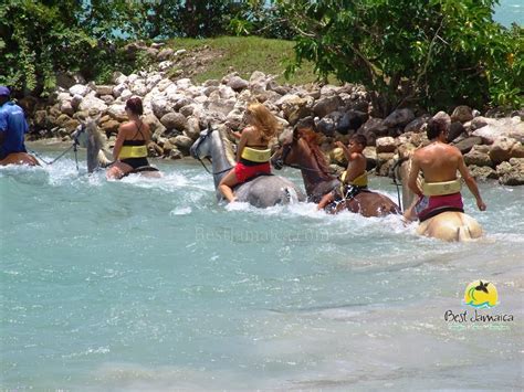 Private Excursions Montego Bay Best Jamaica Travels