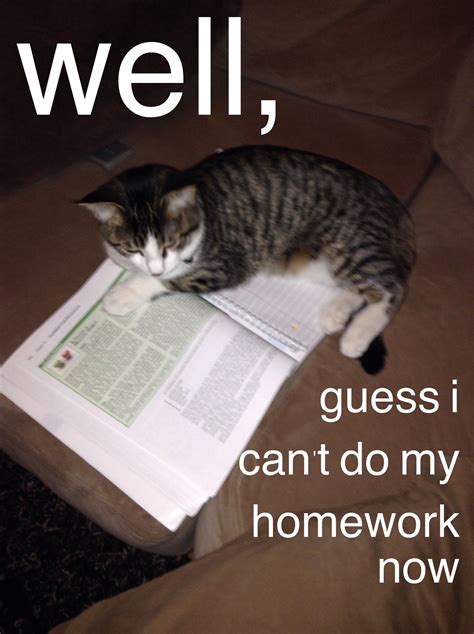 Whether it's for yourself or for sharing with someone that did a great job, these 23 great job memes are the gift that keeps on giving. Keep Up The Good Work Cat Meme