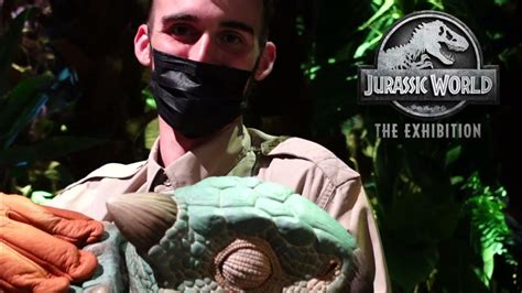 Promo Jurassic World The Exhibition At Grandscape The Colony Texas Youtube
