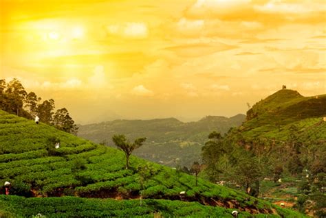 Clouds Valley Leisure Hotel Munnar Inr 210 Off ̶3̶5̶0̶0̶ Hotel