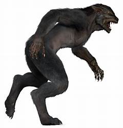 Why Skinwalkers In Ohio Are Creating Buzz %e2%80%93 Essential Details Revealed The Shocking Truth Everyone Needs To Know