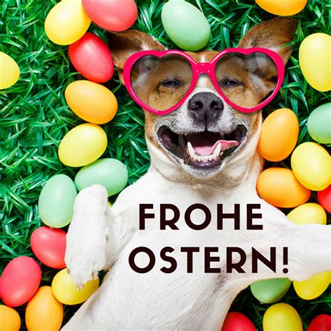 Whatsapp glückwünsche und bilder für facebook zum hoc. 50+ Kostenlose Frohe Ostern Bilder zum Teilen, Verschicken oder Herunterladen | Frohe ostern ...