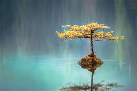 The number of people in the church multiplied, and the lives of the converted manifested true christian piety. Life After Spiritual Awakening - What Happens When You ...
