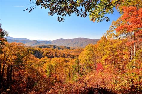 Where To Experience A Birds Eye View Of The Fall Foliage In The Smoky
