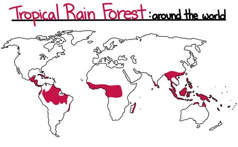 Tropical Rainforest On The World Map