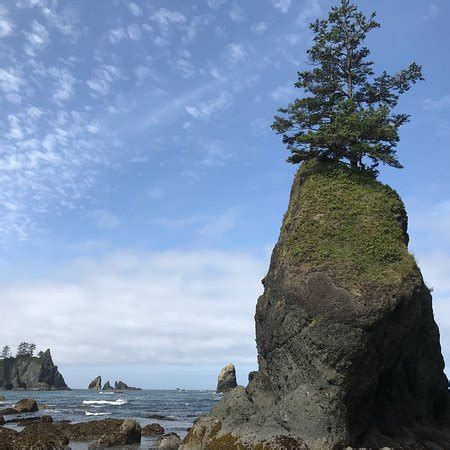 Browse 509 shi shi beach stock photos and images available, or search for rialto beach or hobuck beach to find more great stock photos and pictures. Shi Shi Beach (Clallam Bay) - 2018 All You Need to Know ...