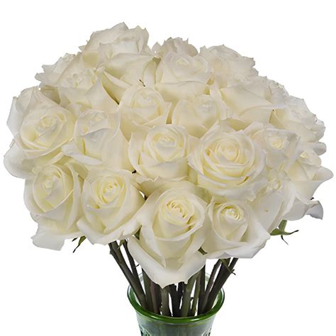 Wholesale Roses ᐉ Buy Bulk Roses In Fiftyflowers