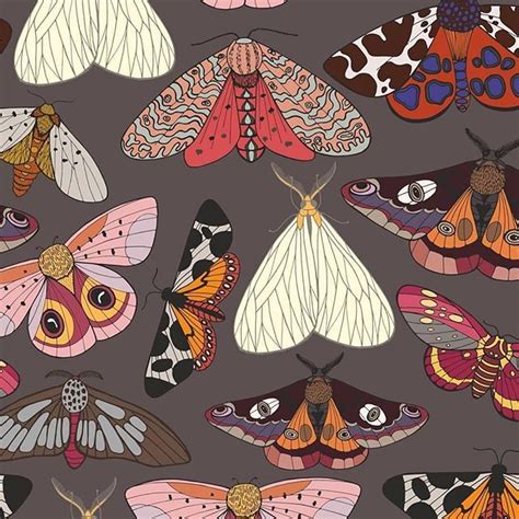 Moths Pattern By Elona Laff Seamless Repeat Vector Royalty Free Stock