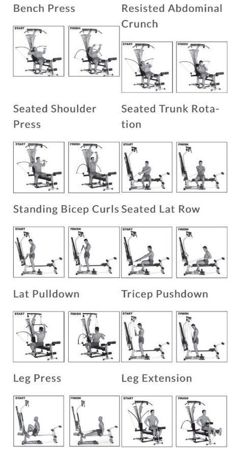 Bowflex Work Out Guide