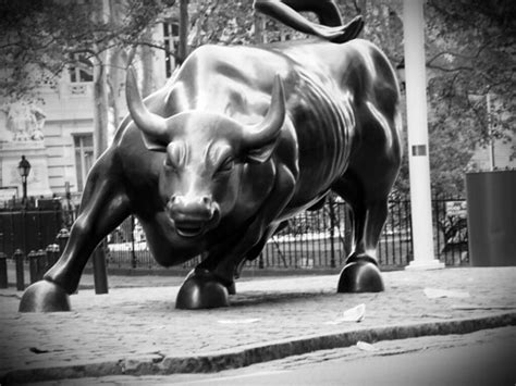Wall Street Bull New York City Manhattan Black And White Flickr