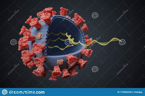 Virus with RNA Molecule Inside. Viral Genetics Concept. 3D Rendered