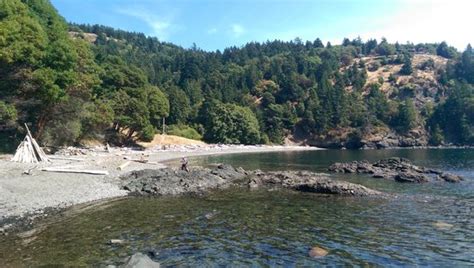 From the park's shoreline trails, you can watch up close as wildlife Lime Kiln Point State Park (Friday Harbor) - 2021 All You ...