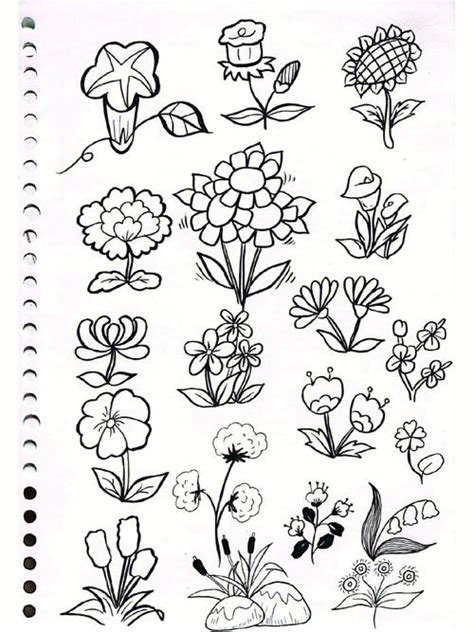 35个花卉的简笔画 35个花卉的简笔画图片 抖兔教育