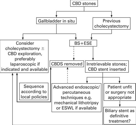 Guidelines On The Management Of Common Bile Duct Stones Cbds Gut
