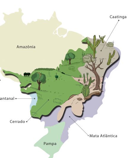 Blog De Geografia Cartilha Ilustrada Dos Biomas Do Brasil