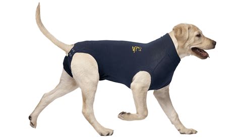 Mps Medical Pet Shirt Hund Medical Pet Shirts