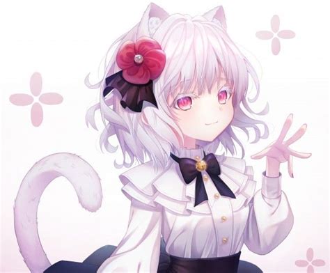 Cute Anime Boy With Wolf Ears And Tail Free Download