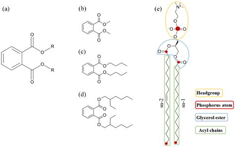 Membranes | Free Full-Text | Investigating the Permeation Mechanism of