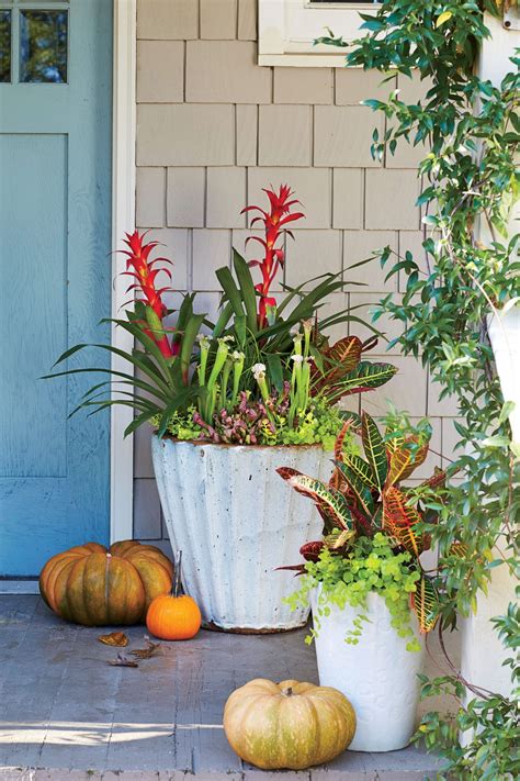 Shady Ladies Containers For Covered Porches Fall Container Gardens