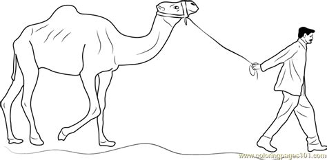 Man Leading Camel Coloring Page - Free Camel Coloring Pages : ColoringPages101.com