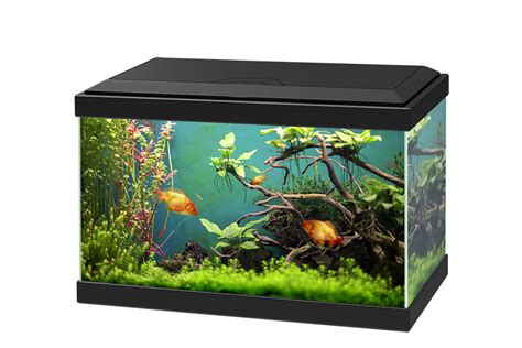 Aquarium Png Transparent Image Download Size 1050x700px