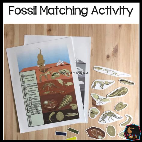 Fossil Matching Activity Shop Montessori Resources For 6 12