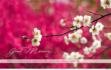 Purple color beautiful flowers morning wishes. New Good Morning Wallpaper (62+ images)