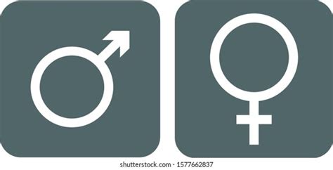 male female symbol vector illustration stock vector royalty free 1577662837 shutterstock